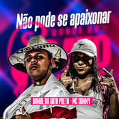 Não Pode Se Apaixonar (Brega Funk)