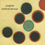 Ann The Word by Lungfish