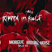 Ripped In Half - Split CD