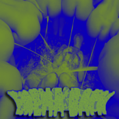 The Most Noisy Bands On  The Planet