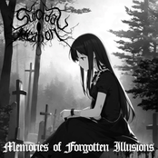 Memories of forgotten illusions