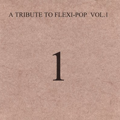 A Tribute to Flexi-Pop, Volume 1