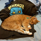 Hope Will Mend My Bones (Acoustic)