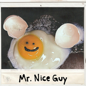 Mr. Nice Guy