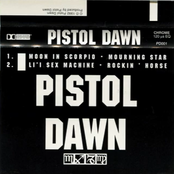 pistol dawn