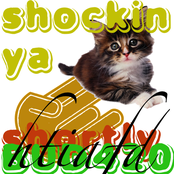 Shockin' Ya Shortly (BUD420)