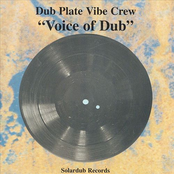 dubplate vibe crew