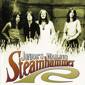 Junior's Wailing by Steamhammer