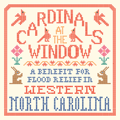 Cardinals At The Window