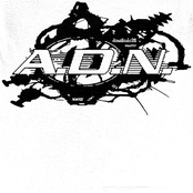 ADN