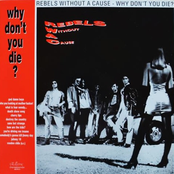 Why Don't You Die?
