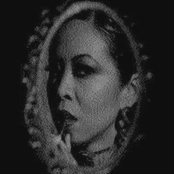 Confidential Vendetta