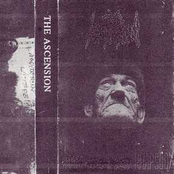 Overshadowed Rhapsody