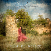Flor de Berezo
