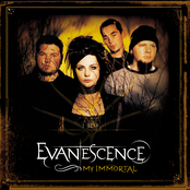 My Immortal (band Version) by Evanescence