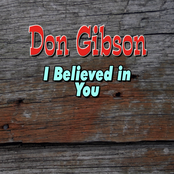 What A Fool I Was For You by Don Gibson