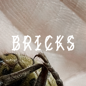 Bricks - Single