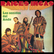 Peregrino by Raices Incas