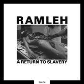 A Return To Slavery/Slaughter At Random