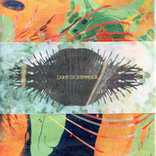 The Night Sky Burns A Hole In Us All