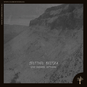 Izar Basoaren Hutsunean