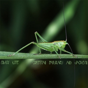 Mixotic 088 - Cristian Paduraru + Jacksin - Enjoy Life