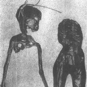 Organogenisis