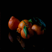 Architrave: Out of My Mind and Into Yours