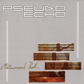 From The Shore by Pseudo Echo