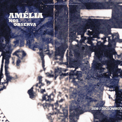2008 / Dicionário