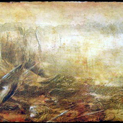 ...Und es Bleibt Nur das Aas