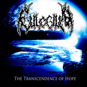 The Transcendence of Hope - Official