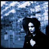 Jack White: Blunderbuss