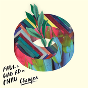 faul & wad ad vs pnau