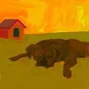 a Dog can do so much!