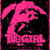 Body of a Pig