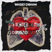 Murciélagos y Golondrinas