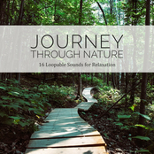 Journey Through Nature:16 Loopable Sounds for Relaxation