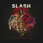 Apocalyptic Love