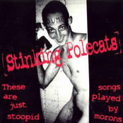 These are just stoopid songs played by morons