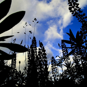 Jeni Law And Paul Mcilreavy Demo