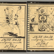 LAFMS Emergency Cassette