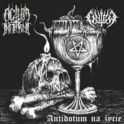 W cieniu ramion krucyfiksu