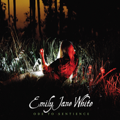 The Preacher by Emily Jane White