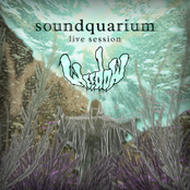 Soundquarium: Live Session