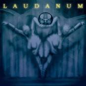Crawling The Wall by Laudanum