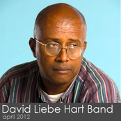 Violitionist Sessions