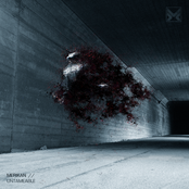 Untameable // Counter-Insurgency