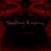 Pain Inside Me