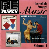Incredibly Strange Music (Vol. 1)